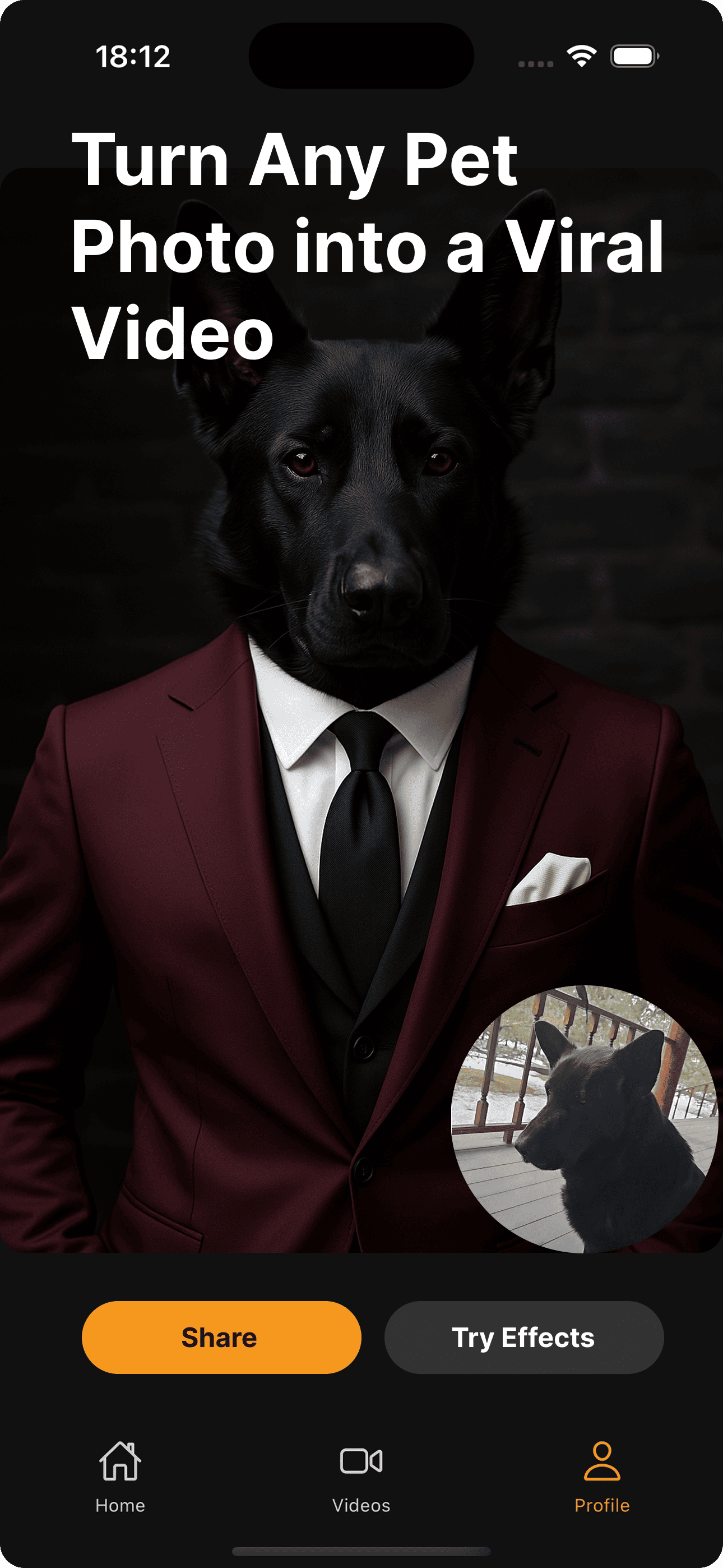 Pet transformation example